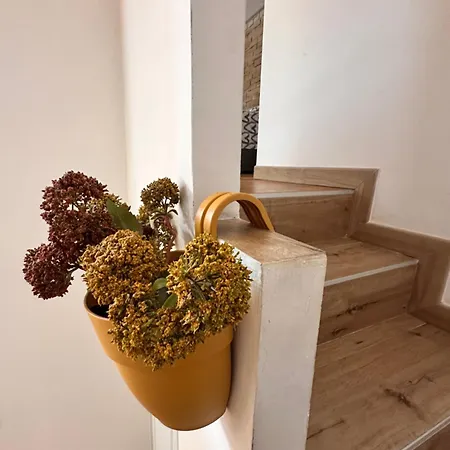 Loft Il Tiglio, Open Space Loft